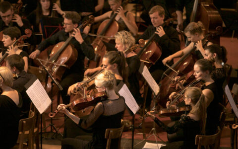 SinForma - Sinfonisches Orchester Mainz
